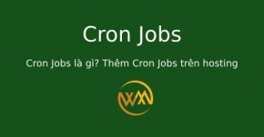 Cron Jobs là gì? Thêm Cron Jobs trên hosting