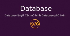 Database là gì? Các mô hình Database phổ biến