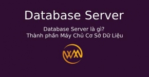 Database Server là gì? Thành phần Máy Chủ Cơ Sở Dữ Liệu