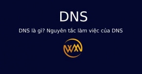 DNS là gì? Nguyên tắc làm việc của DNS