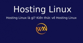 Hosting Linux là gì? Kiến thức về Hosting Linux