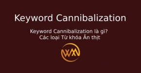 Keyword Cannibalization là gì? Các loại Từ khóa Ăn thịt