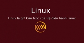 Linux là gì? Cấu trúc của Hệ điều hành Linux