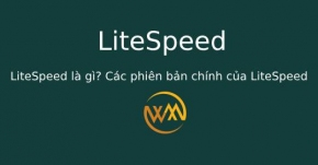 LiteSpeed là gì? Các phiên bản chính của LiteSpeed
