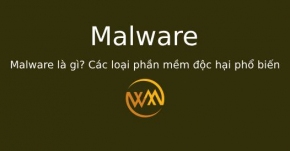 Malware là gì? Các loại phần mềm độc hại phổ biến