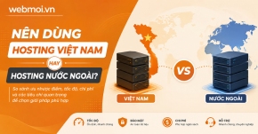 Nên dùng Hosting Việt Nam hay Hosting nước ngoài?