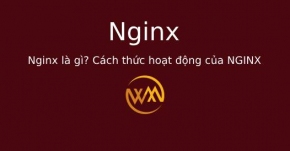 Nginx là gì? Cách thức hoạt động của NGINX