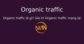 Organic traffic là gì? Giá trị Organic traffic mang lại