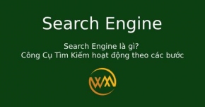 Search Engine là gì? Công Cụ Tìm Kiếm hoạt động theo các bước