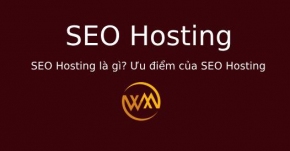 SEO Hosting là gì? Ưu điểm của SEO Hosting