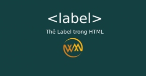 Thẻ Label trong HTML