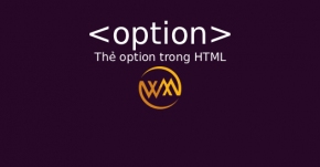 Thẻ option trong HTML