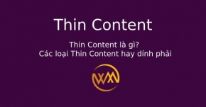 Thin Content là gì? Các loại Thin Content hay dính phải