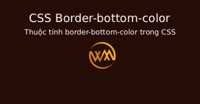 Thuộc tính border-bottom-color trong CSS