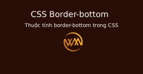 Thuộc tính border-bottom trong CSS