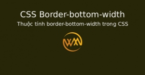 Thuộc tính border-bottom-width trong CSS