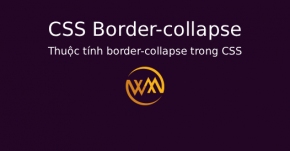 Thuộc tính border-collapse trong CSS