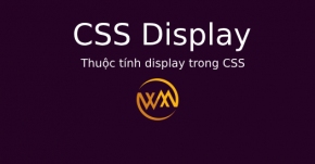 Thuộc tính display trong CSS