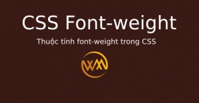 Thuộc tính font-weight trong CSS