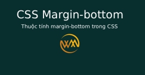 Thuộc tính margin-bottom trong CSS