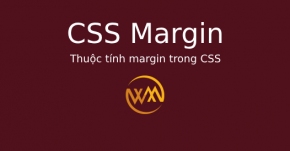 Thuộc tính margin trong CSS
