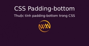 Thuộc tính padding-bottom trong CSS