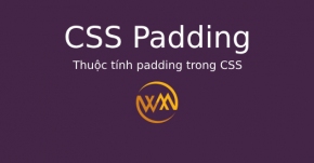 Thuộc tính padding trong CSS