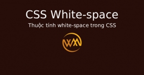 Thuộc tính white-space trong CSS