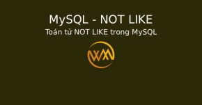 Toán tử NOT LIKE trong MySQL