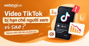 Video TikTok bị hạn chế người xem vì sao?