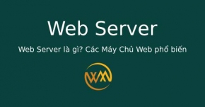 Web Server là gì? Các Máy Chủ Web phổ biến