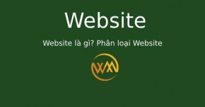 Website là gì? Phân loại Website