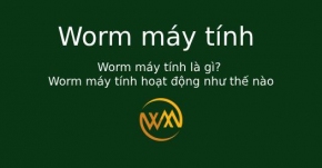 Worm máy tính là gì? Worm máy tính hoạt động như thế nào