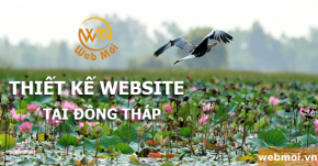 Thiết kế website tại Đồng Tháp