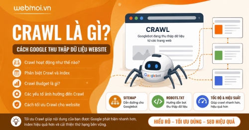 Crawl là gì? Crawl là gì?