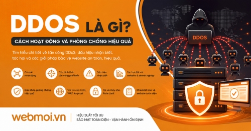 DDOS là gì?