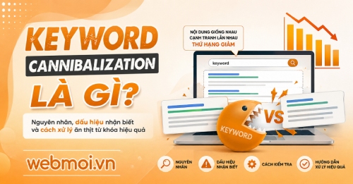 Keyword Cannibalization là gì? Keyword Cannibalization là gì?