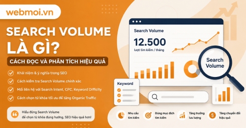 Search Volume là gì?