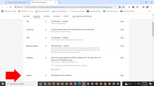 Cách kiểm tra thẻ Alt có đầy đủ không