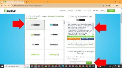 Dán đoạn code của DMCA vào website