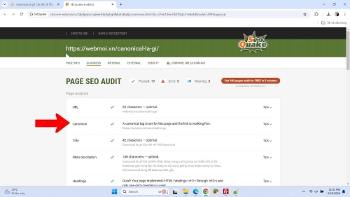 Dùng SEOquake xem thẻ Canonical