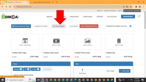 Khai báo nhiều URL vào DMCA