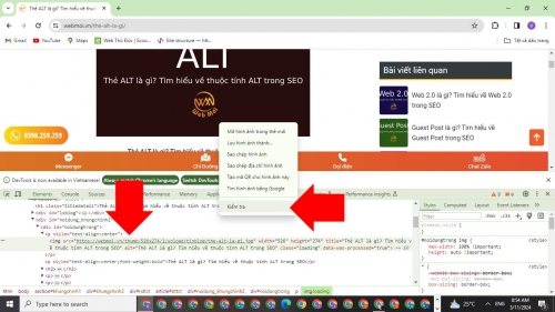 Kiểm tra Alt bằng cách xem code