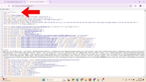 Kiểm tra ngôn ngữ website