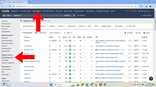 Kiểm tra Organic Keywords trên Ahrefs