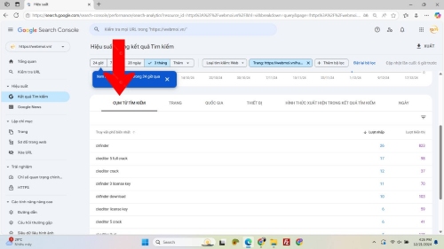 Kiểm tra Organic Keywords trên Google Search Console 02