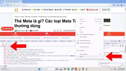 Kiểm tra phần tử xem thẻ Meta