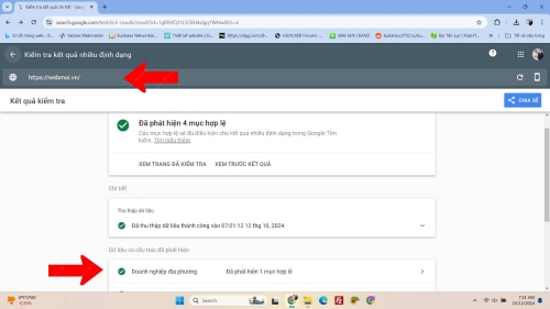 Kiểm tra schema Doanh nghiệp địa phương