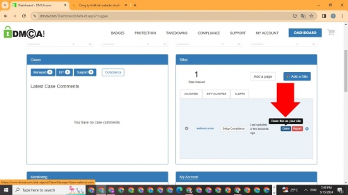 Nhấn nút xác thực tên miền cần xác thực DMCA