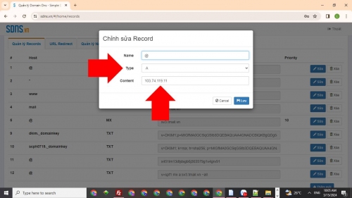 Nhập DNS record